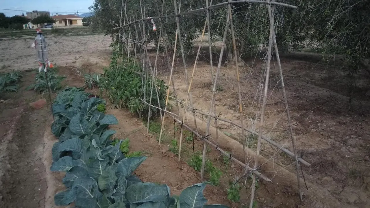 הוילה דלטברה Casa Baleso